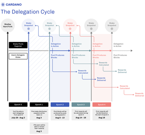 Delegation cycle